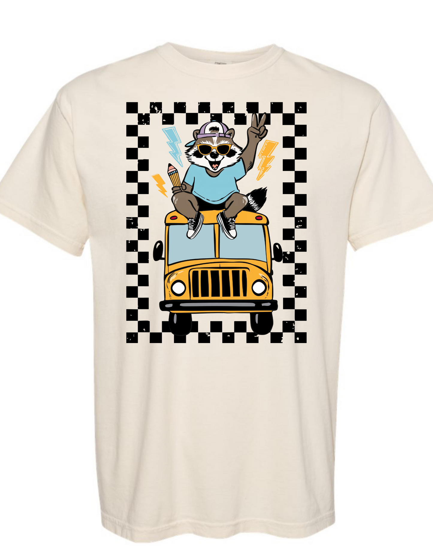 Raccoon Back to School