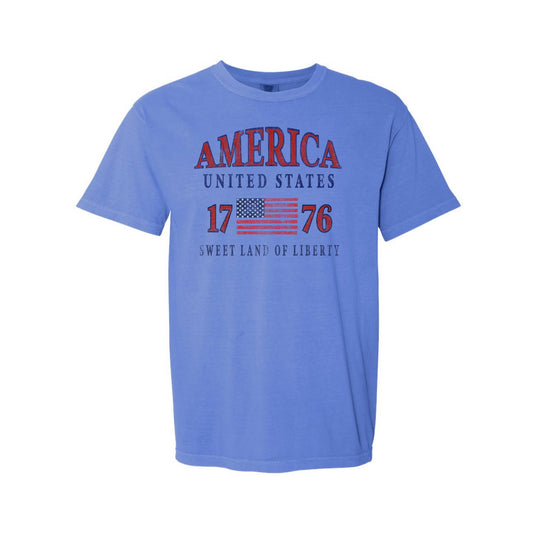 Distressed America 1776